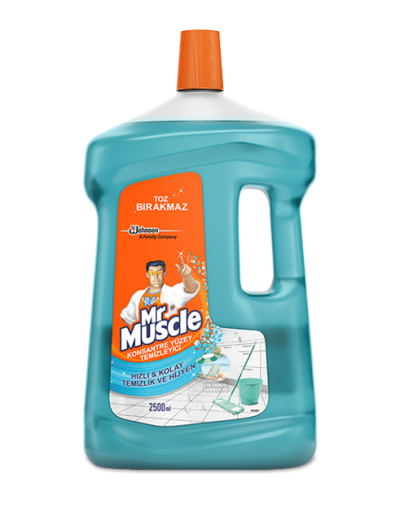 Mr. Muscle Concentrated Surface Cleaner 2500 ml 