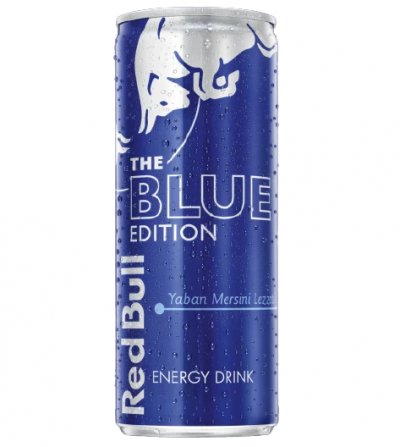 Redbull Energy Drink Blue Edition Blueberry Flavor  250 ml