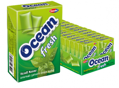Saadet Ocean Fresh Spearmint Flavoured Sugared Dragee Gum  15 gr 